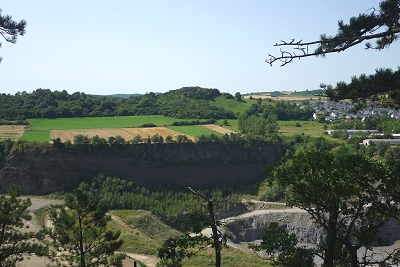 Beller Berg, Ettringen