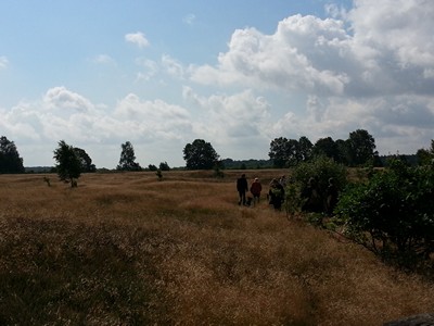 IASC Bild 2 Thumbnail