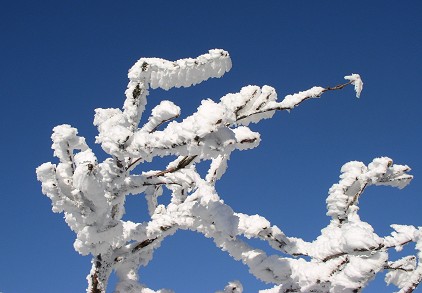 Winter im Erzgebirge