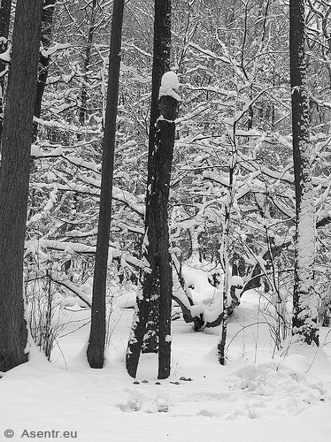 AStgabel-Idol der Nerthus