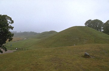 Gamla Uppsala: Die Grabhügel vom Thinghügel aus